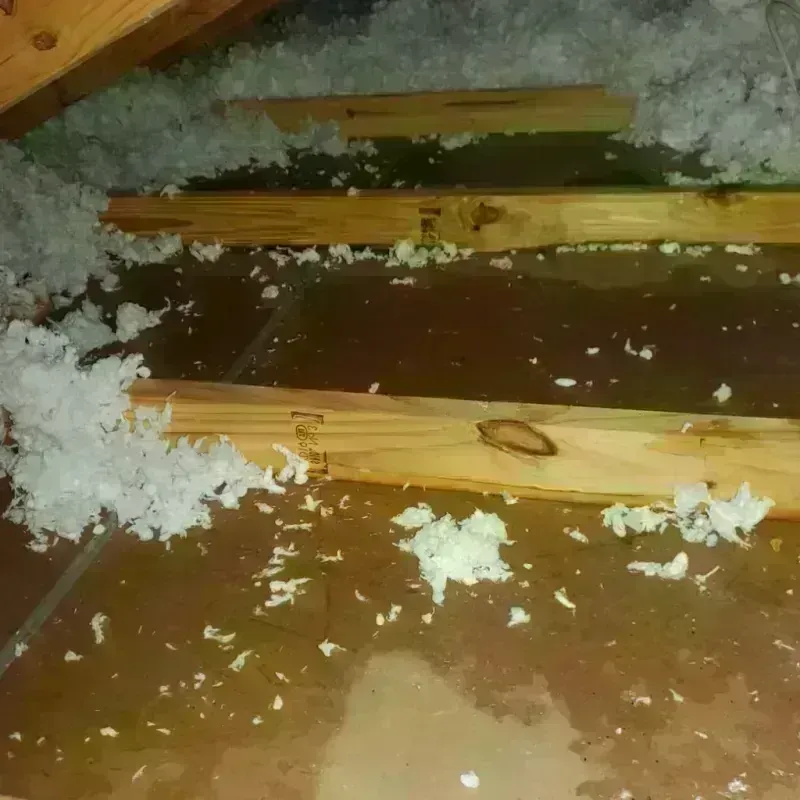 Attic Water Damage in Amherst, NY